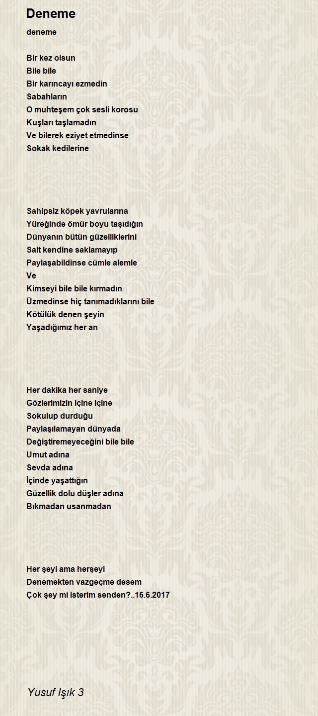 Yusuf Işık 3