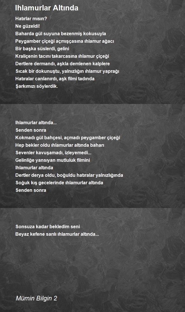 Mümin Bilgin 2