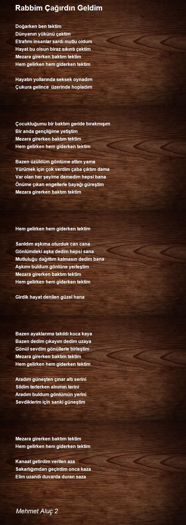 Mehmet Aluç 2