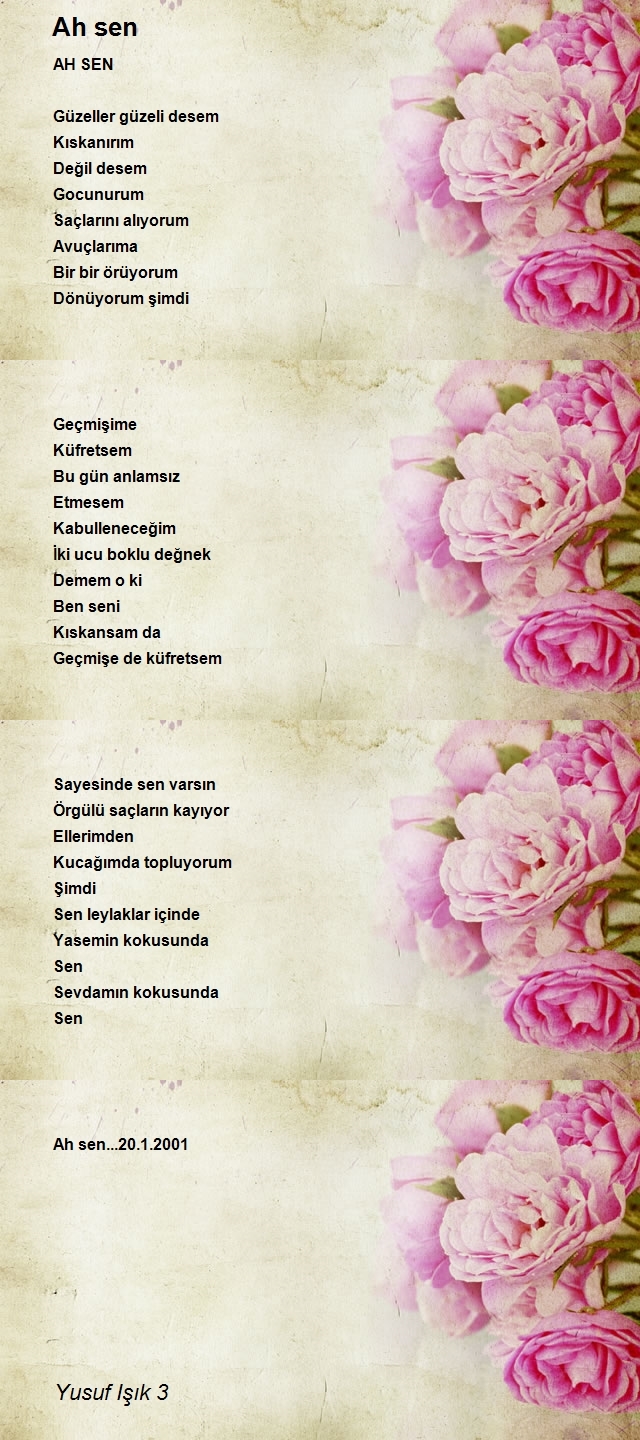 Yusuf Işık 3