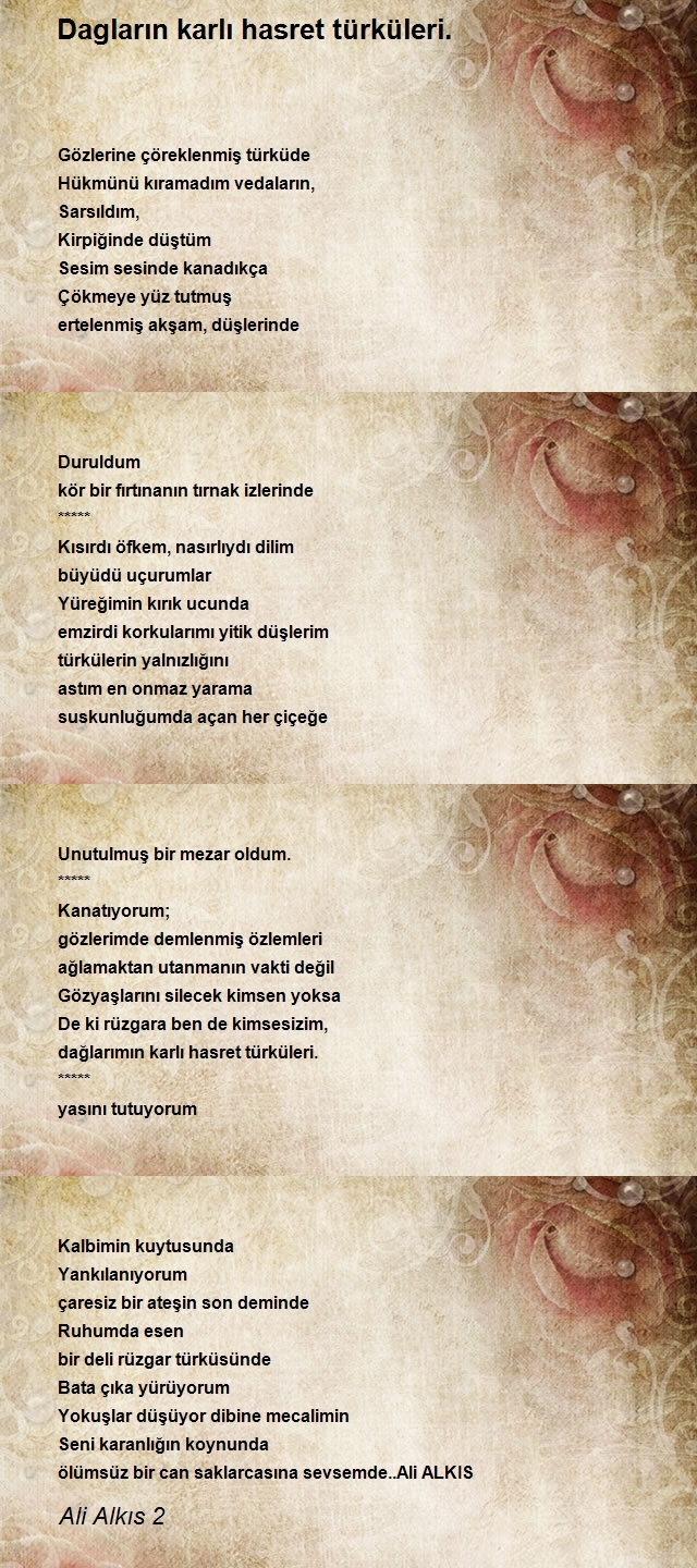 Ali Alkıs 2