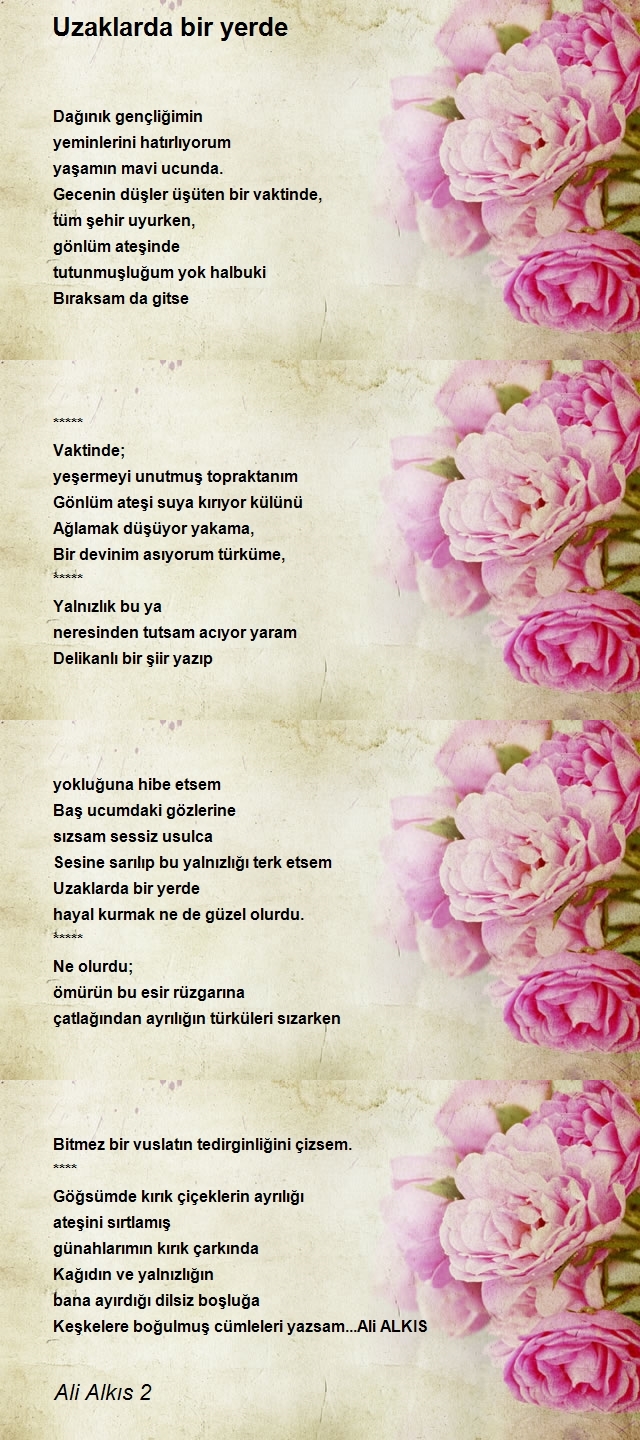 Ali Alkıs 2