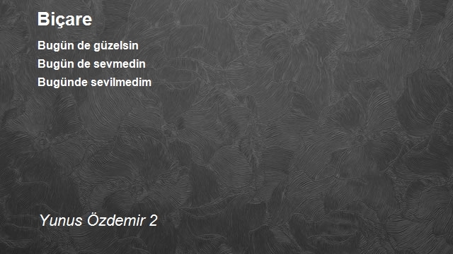 Yunus Özdemir 2