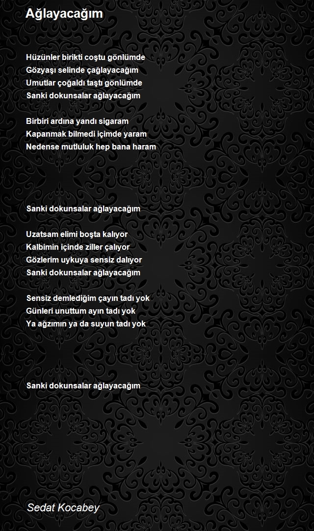 Sedat Kocabey