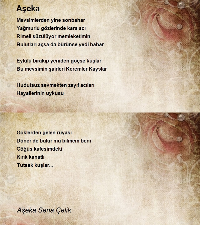 Aşeka Sena Çelik
