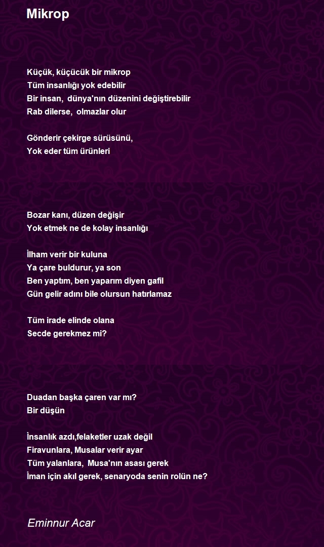 Eminnur Acar