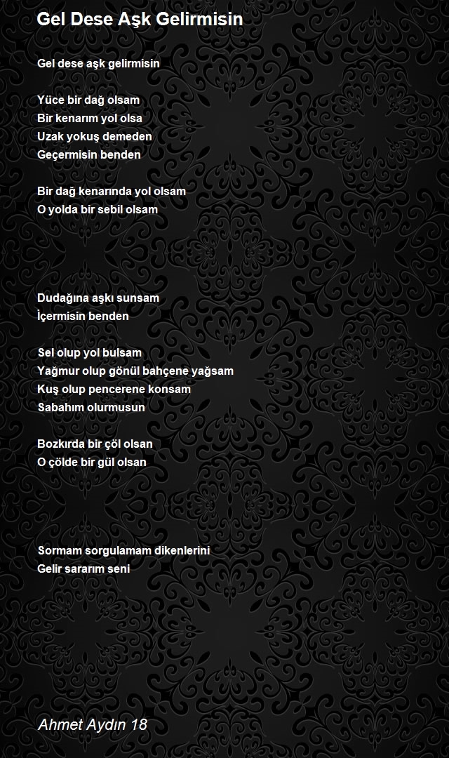 Ahmet Aydın 18