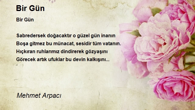 Mehmet Arpacı