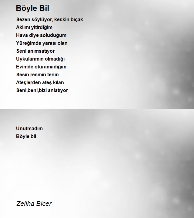 Zeliha Bicer