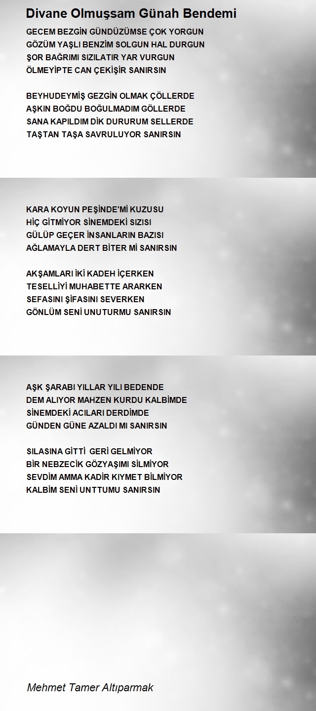 Mehmet Tamer Altıparmak