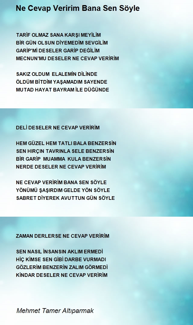 Mehmet Tamer Altıparmak