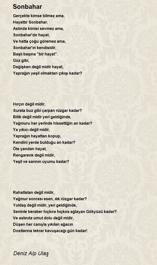 Deniz Alp Ulaş