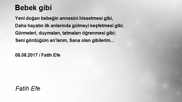 Fatih Efe