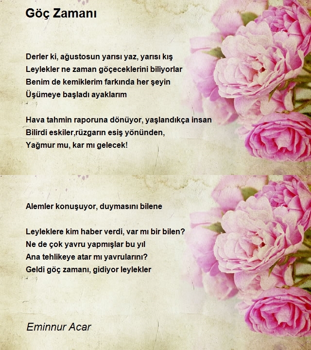 Eminnur Acar