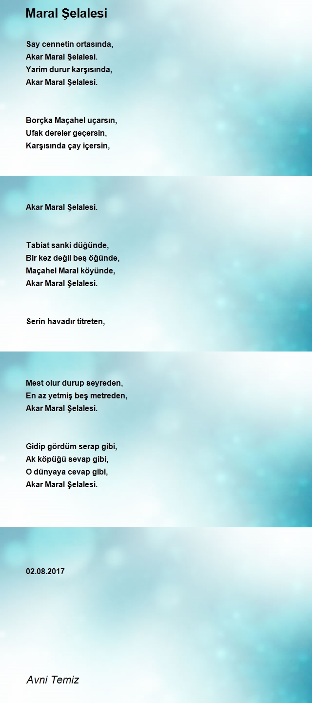 Avni Temiz