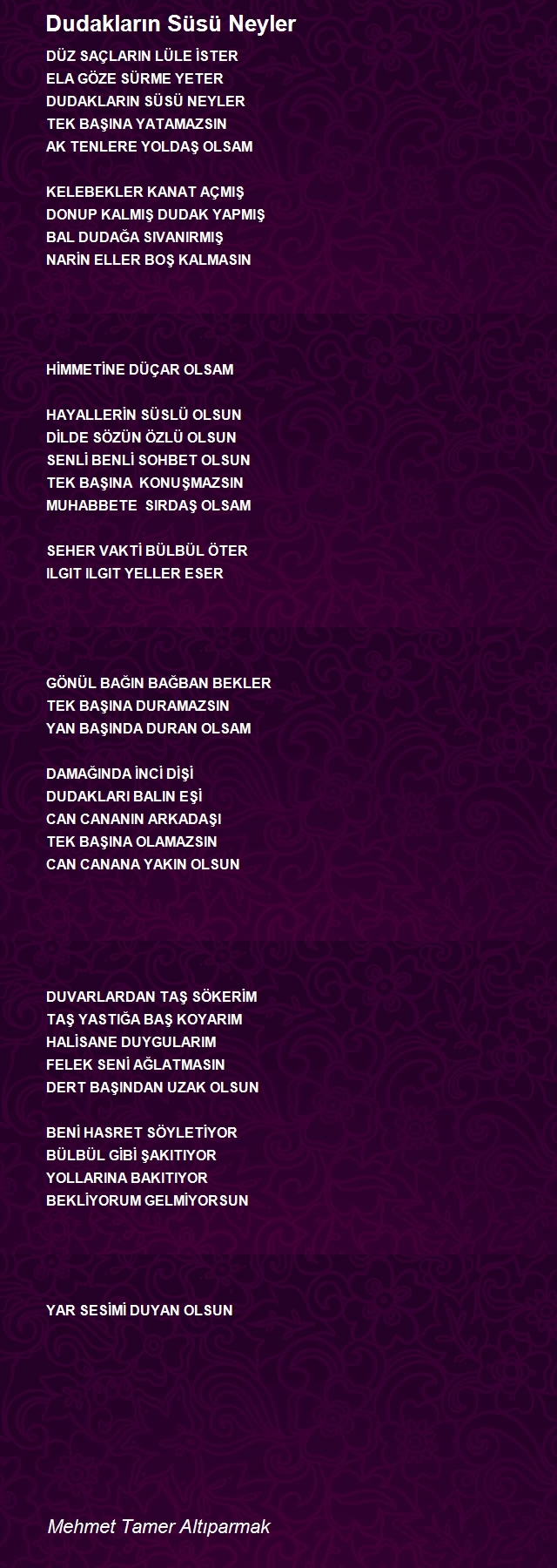 Mehmet Tamer Altıparmak