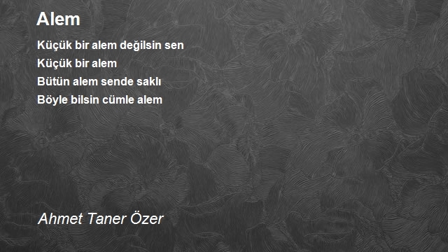 Ahmet Taner Özer