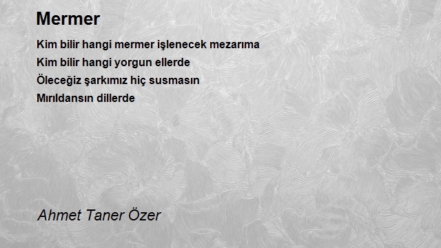 Ahmet Taner Özer