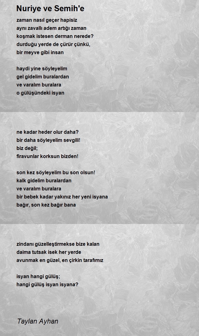 Taylan Ayhan