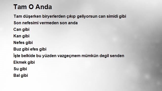 İmat Halil