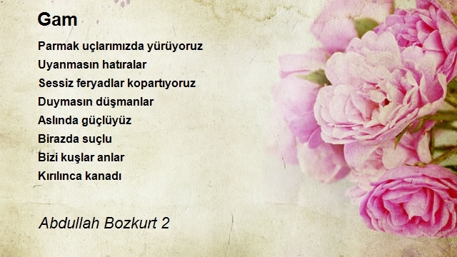 Abdullah Bozkurt 2