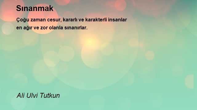 Ali Ulvi Tutkun