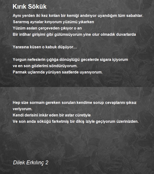 Dilek Erkılınç 2