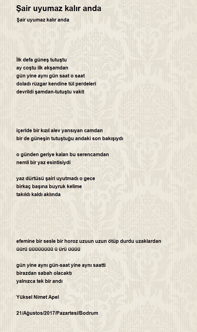 Yüksel Nimet Apel