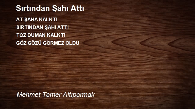 Mehmet Tamer Altıparmak