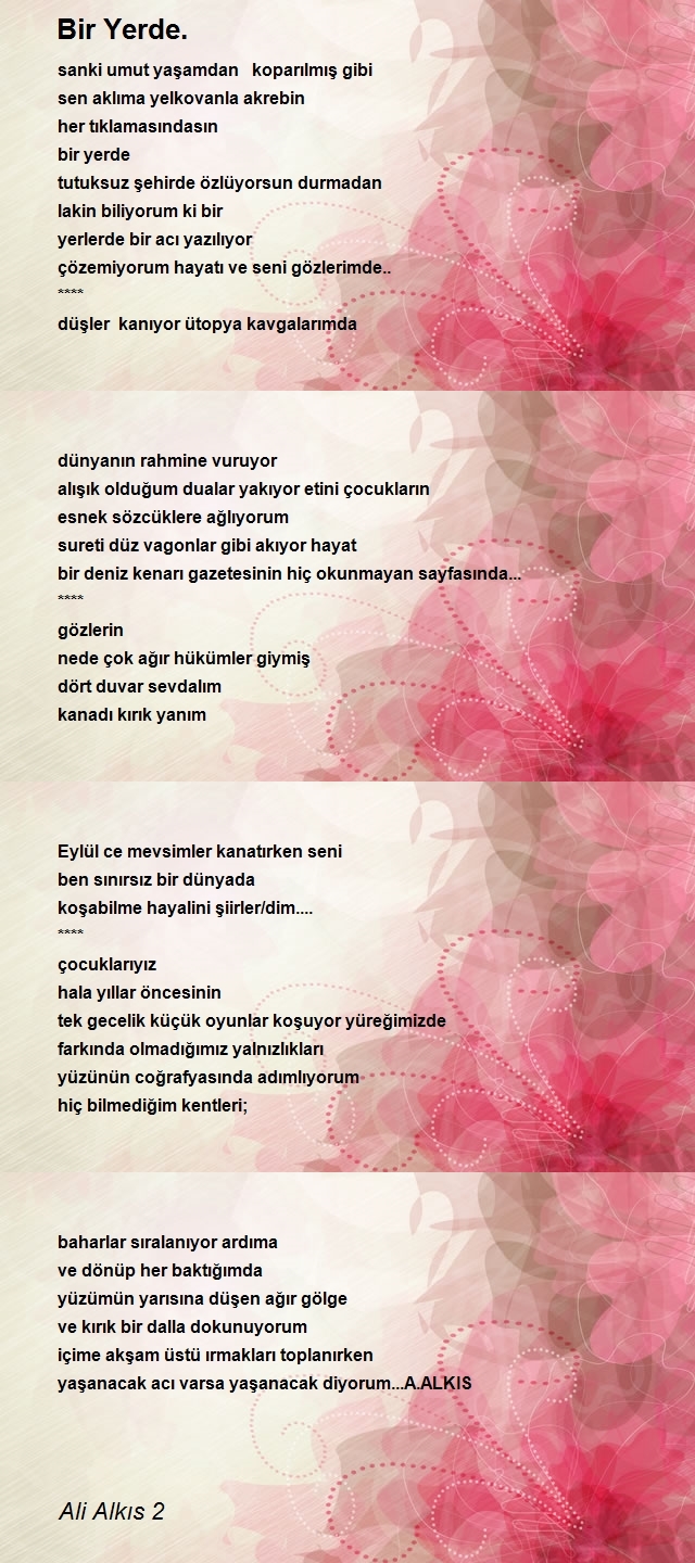 Ali Alkıs 2