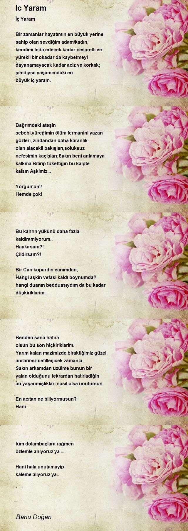 Banu Doğan