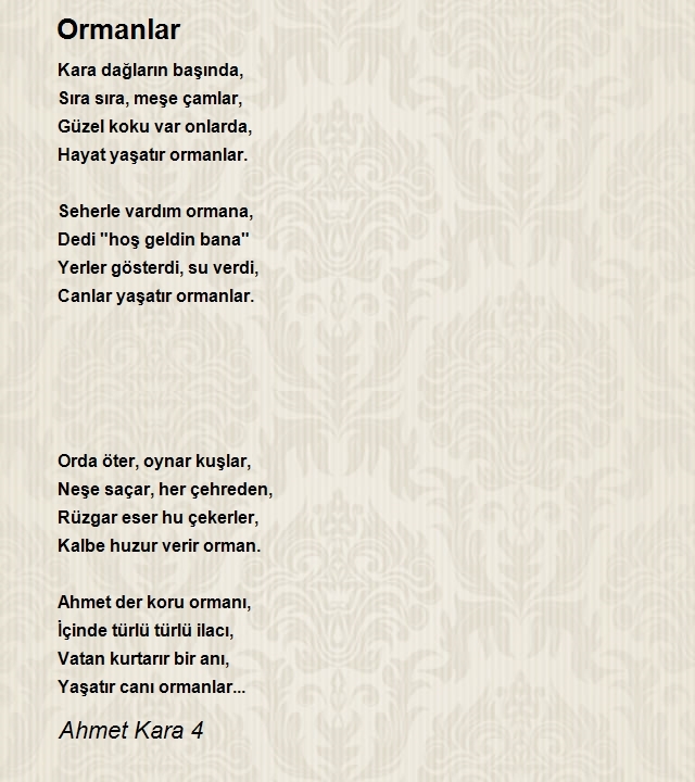 Ahmet Kara 4