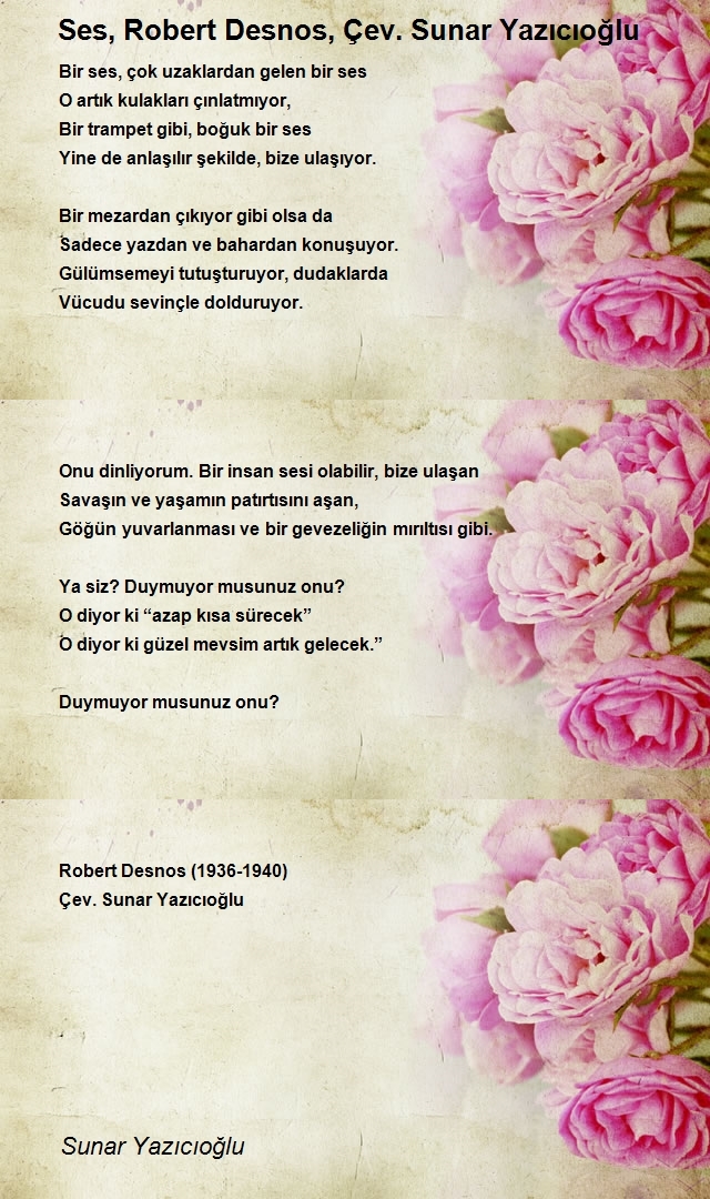 Sunar Yazıcıoğlu