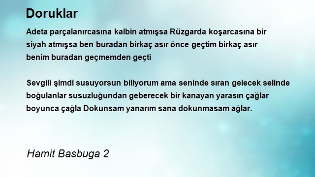 Hamit Basbuga 2