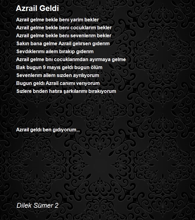 Dilek Sümer 2