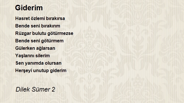 Dilek Sümer 2