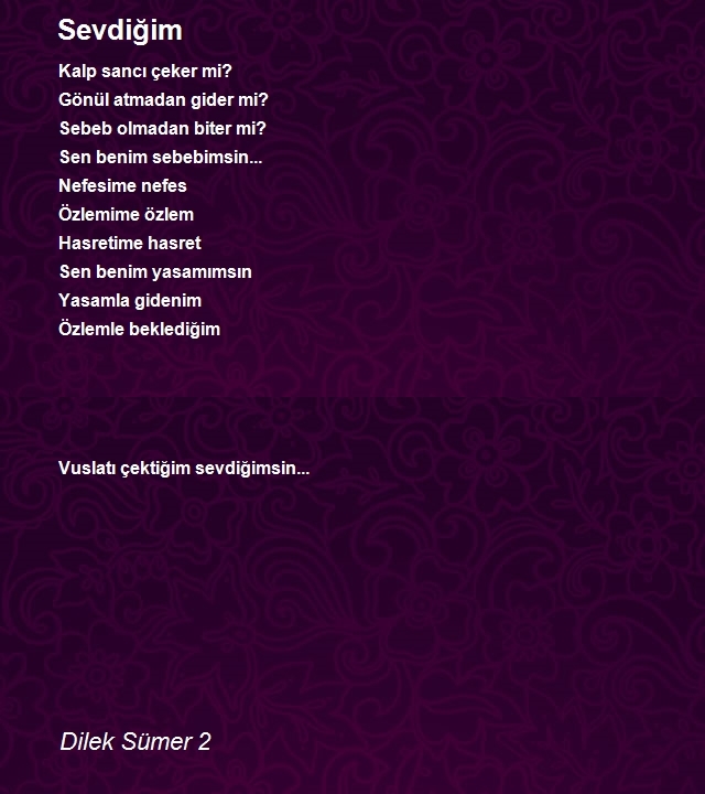 Dilek Sümer 2