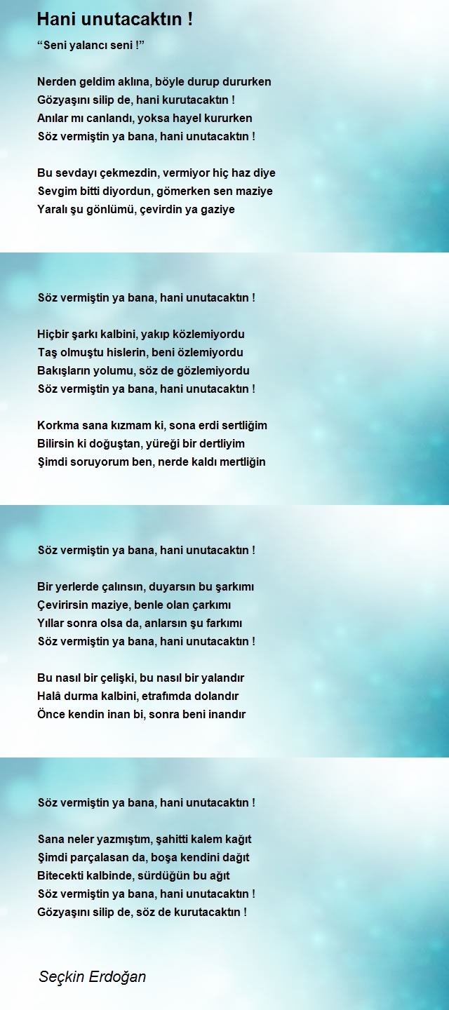 Seçkin Erdoğan