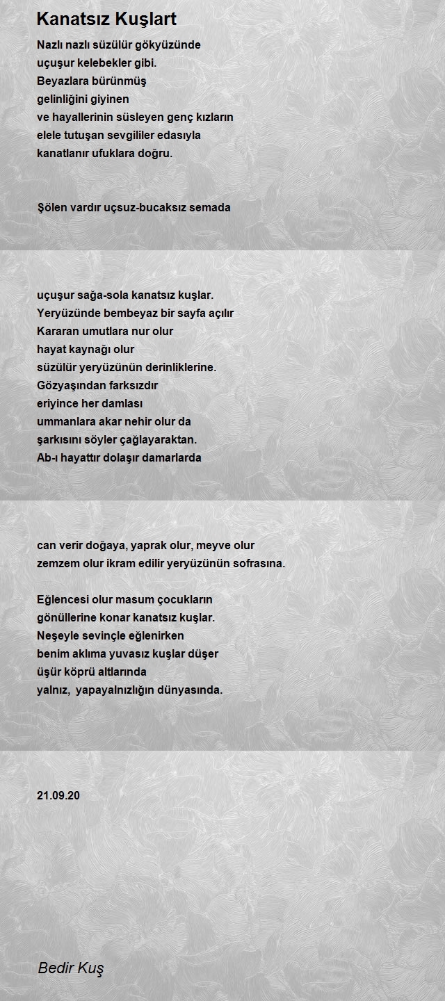 Bedir Kuş
