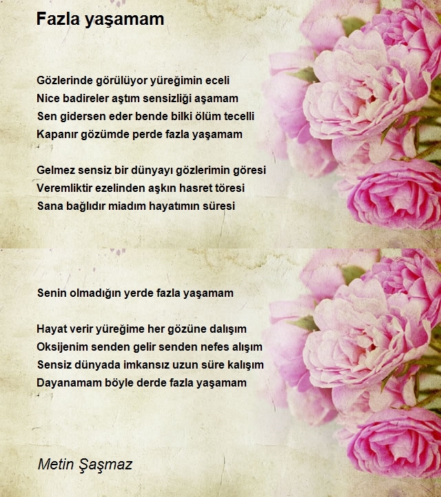 Metin Şaşmaz
