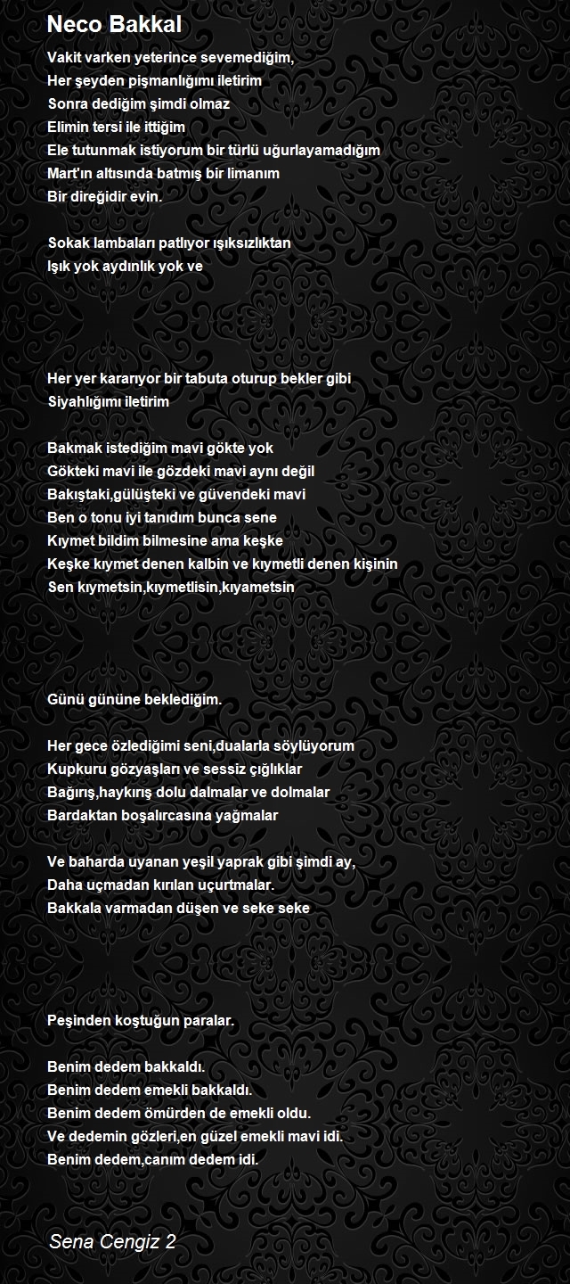 Sena Cengiz 2