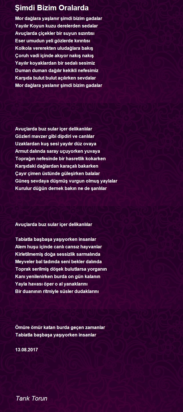 Tarık Torun