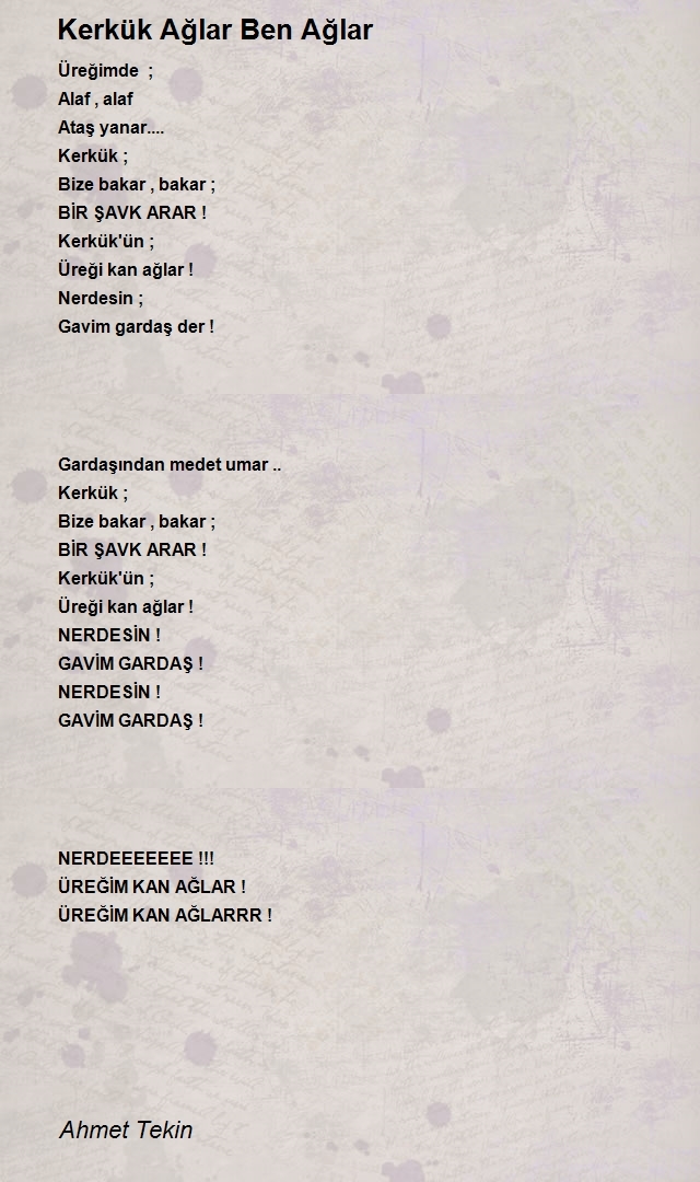 Ahmet Tekin
