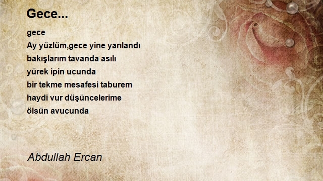 Abdullah Ercan