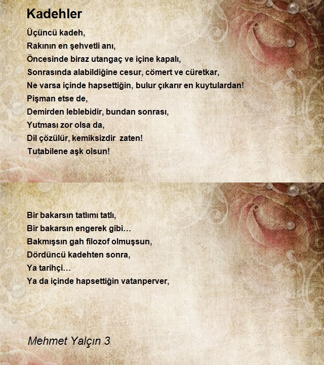 Mehmet Yalçın 3