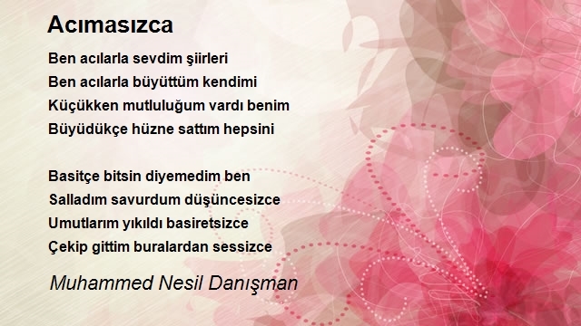 Muhammed Nesil Danışman