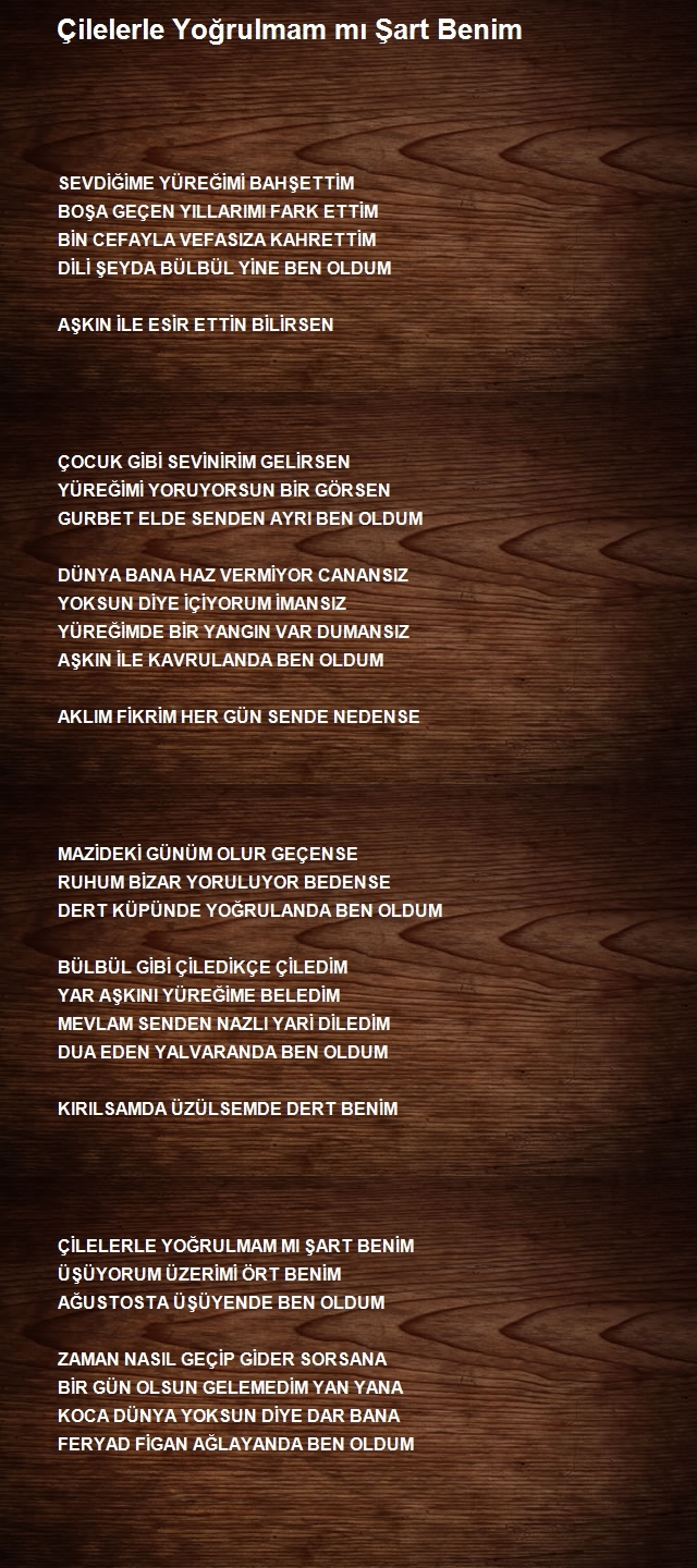 Mehmet Tamer Altıparmak
