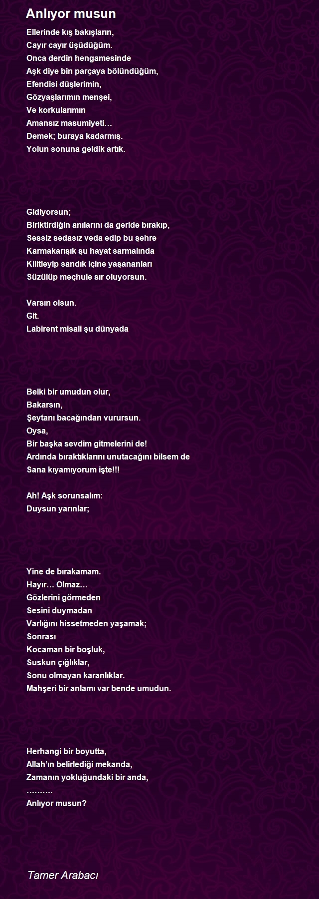 Tamer Arabacı