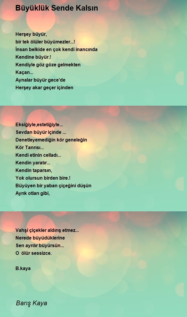 Barış Kaya