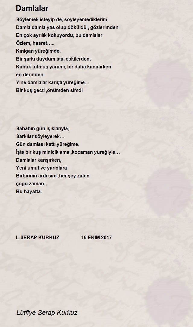 Lütfiye Serap Kurkuz